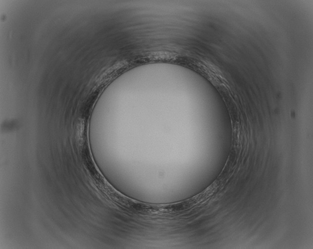 X0000086740550200704130735