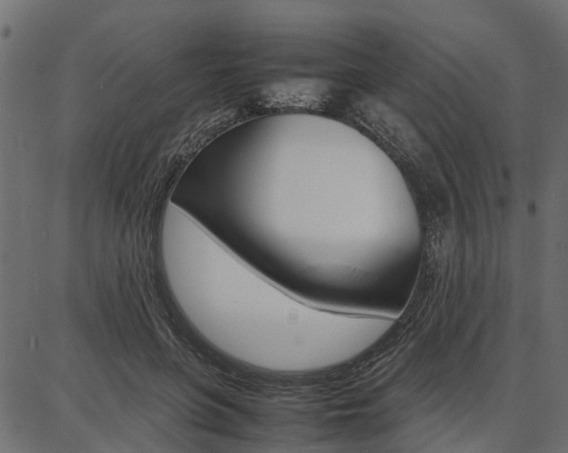 X0000086740551200704130735