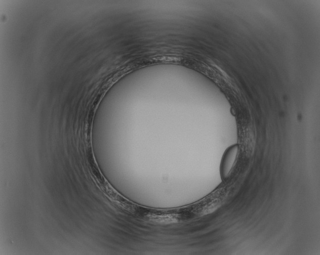 X0000086740553200704130735