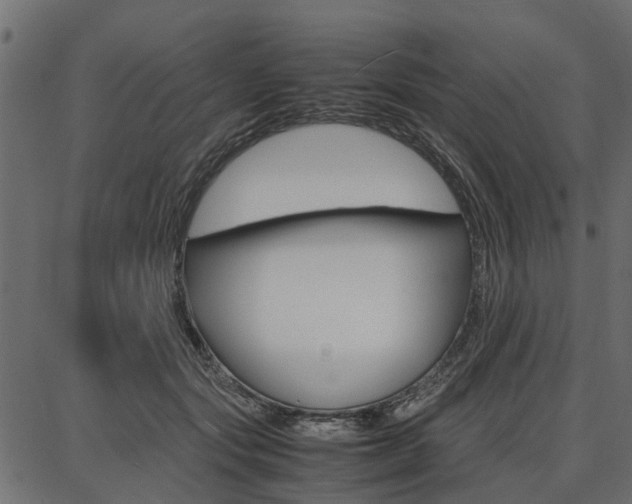 X0000086740557200704130735