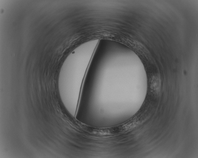 X0000086740559200704130735