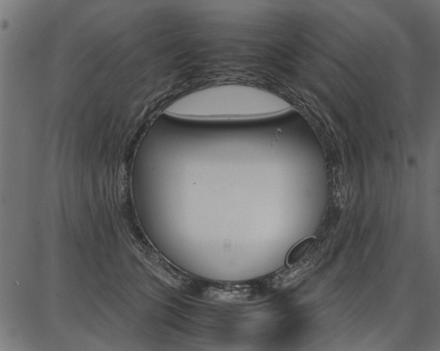 X0000086740563200704130735