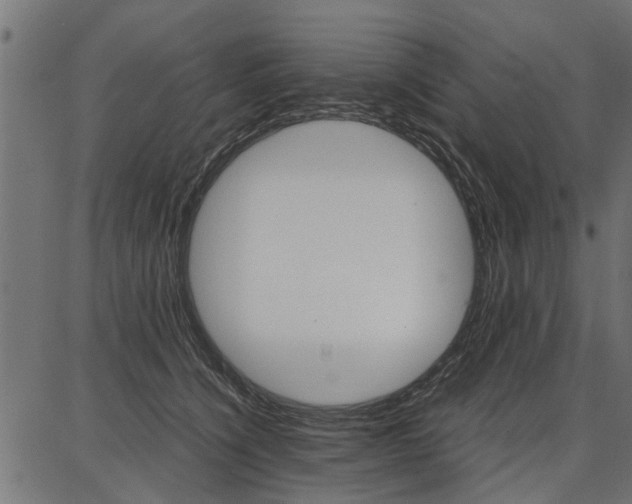 X0000086740564200704130735