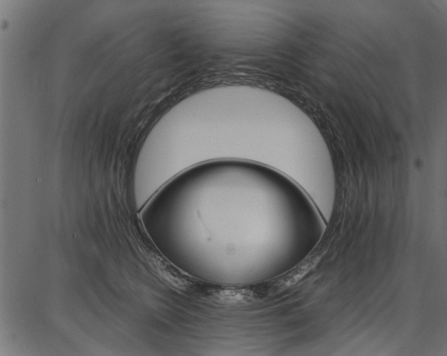 X0000086740566200704130735