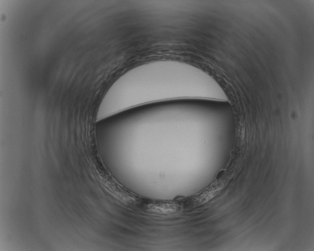 X0000086740567200704130735