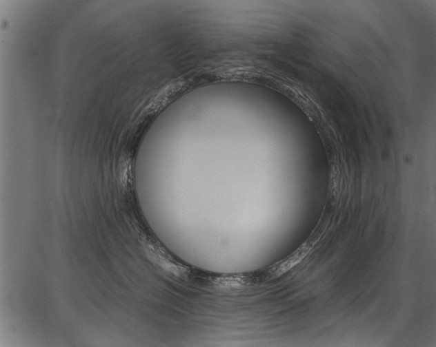 X0000086740574200704130735