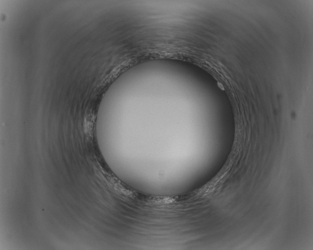 X0000086740576200704130736