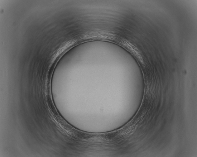 X0000086740578200704130735