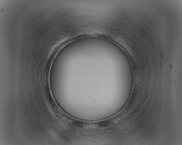 X0000086740587200704130735