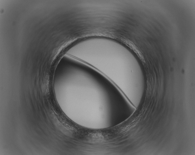 X0000086740588200704130735