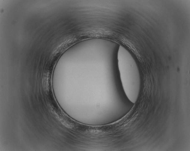 X0000086740590200704130734