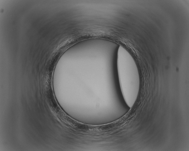 X0000086740591200704130734