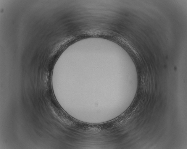 X0000086740592200704130734
