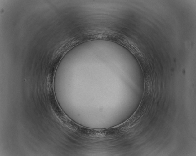 X0000086740594200704130734
