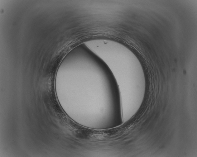 X0000086740595200704130734