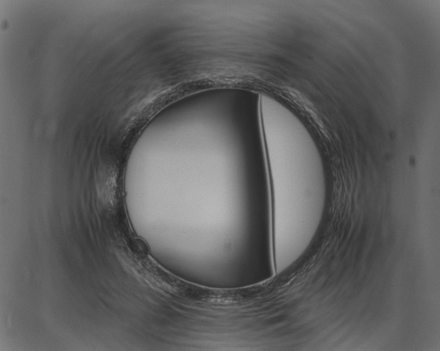 X0000086740596200704130734