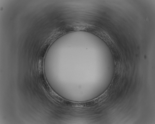 X0000086740598200704130734