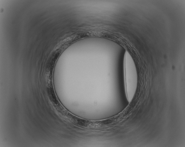 X0000086740599200704130734