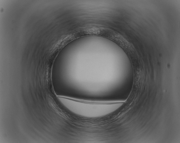 X0000086740600200704130734
