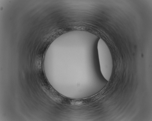 X0000086740602200704130734