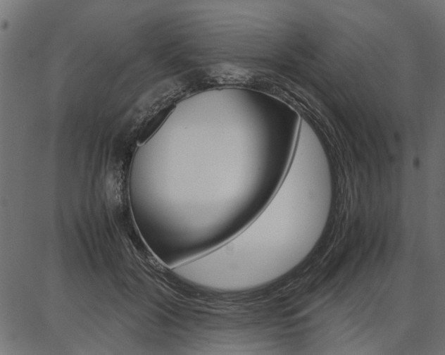 X0000086740604200704130734