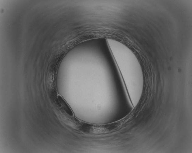 X0000086740605200704130734
