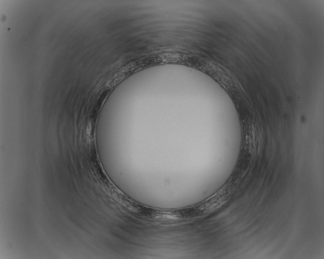 X0000086740610200704130734