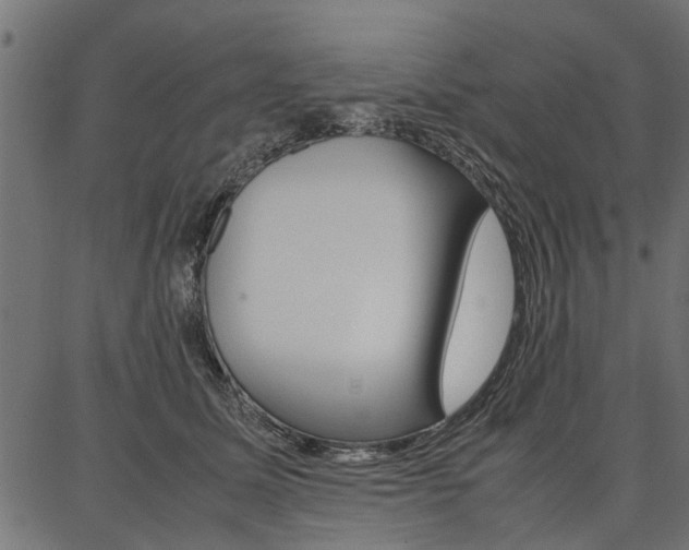 X0000086740611200704130734