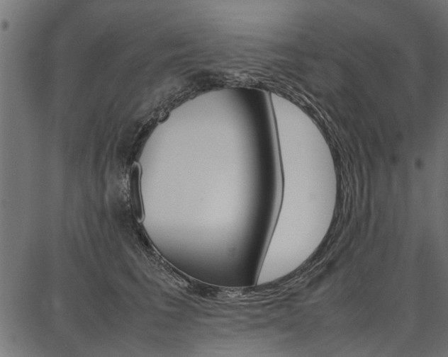 X0000086740613200704130734