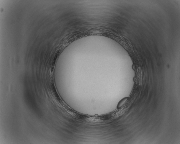 X0000086740614200704130734
