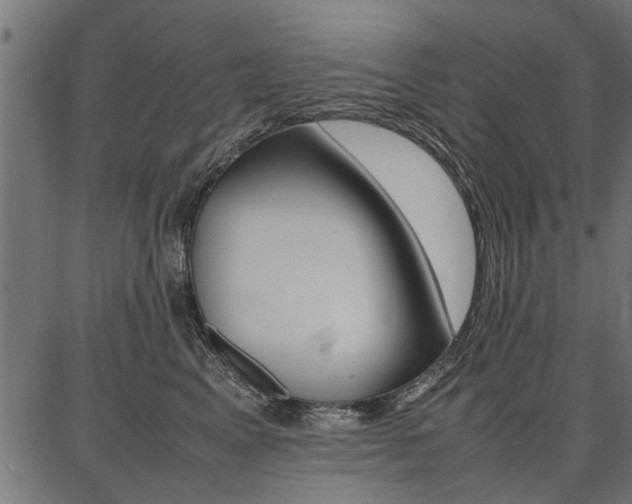 X0000086740617200704130734