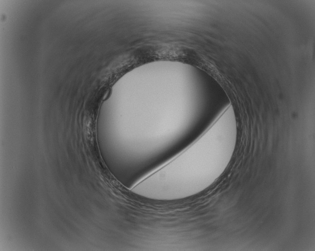 X0000086740619200704130734