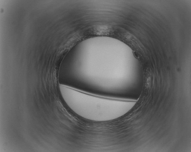 X0000086740620200704130734