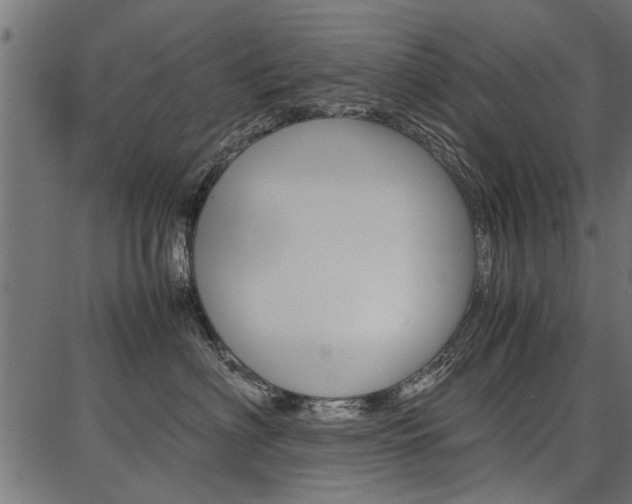 X0000086740622200704130734