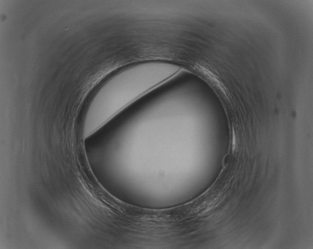X0000086740627200704130733