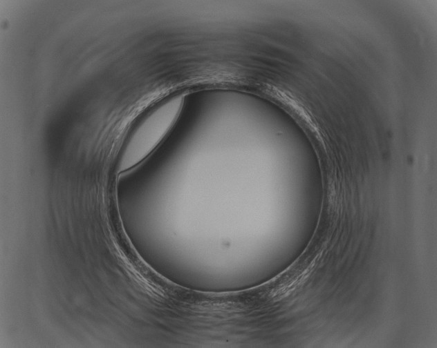 X0000086740629200704130733