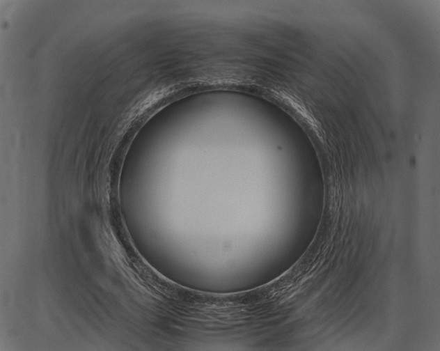 X0000086740631200704130733