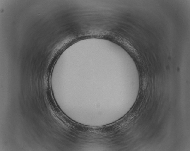 X0000086740632200704130733