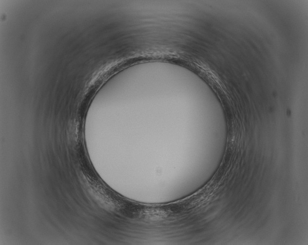 X0000086740636200704130733