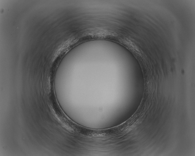 X0000086740638200704130733