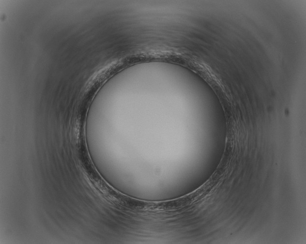 X0000086740640200704130733