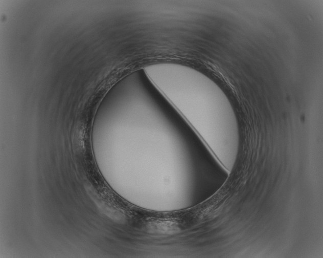 X0000086740643200704130733