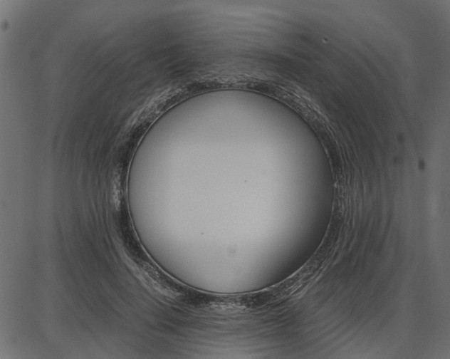 X0000086740644200704130733
