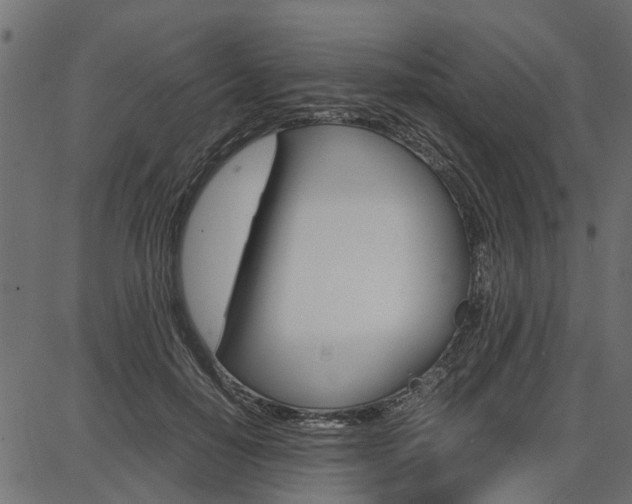 X0000086740650200704130734