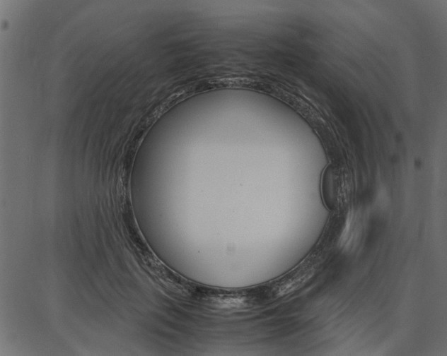 X0000086740651200704130734
