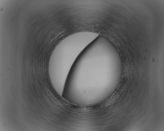 X0000086740656200704130734