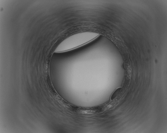 X0000086740657200704130734