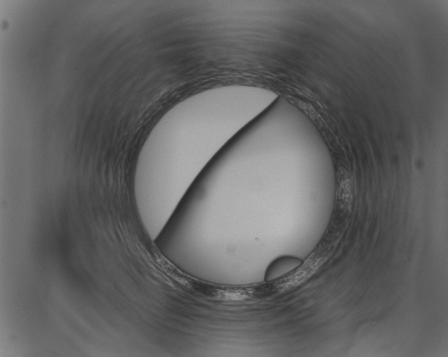 X0000086740662200704130734