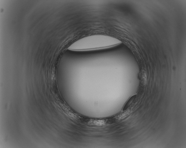 X0000086740665200704130734