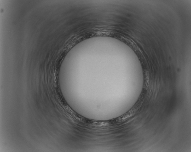X0000086740667200704130734